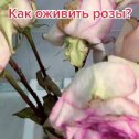 Фотография от Владимир Киселев