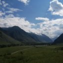 Фотография "Чулышманская долина, Алтай.Маральник цветёт август 2023"