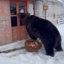 Фотография от ОЛЬГА НЕЙМАН(ТРАЧУК)