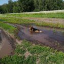 Фотография от галина воронкина валеева