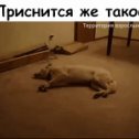 Фотография от Василий Дубров