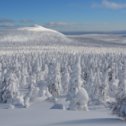 Фотография от Андрей Пятыгин