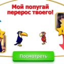 Фотография "Эвелина, мой попугая перерос твоего. Попробуй догони! http://www.ok.ru/game/1142001664"