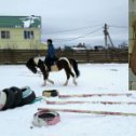 Фотография "Еду рысью покорять новые вершины)"