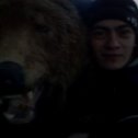 Фотография "с бурым медведем"