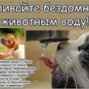 Фотография от Лиля Я