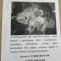 Фотография от zooplusvet Новороссийск