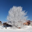 Фотография от Татьяна Галеева(Исаева)