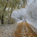 Фотография от Наталья Саушкина