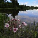 Фотография от Светлана Кокарева (Гусарова)