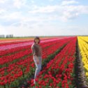 Фотография "Тюльпановый рай по-белорусски!"