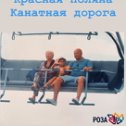 Фотография от Ольга Тюлькина