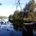 Фотография "Отпуск! Рыбалка! Финляндия, Северная Карелия, неделя без мяса, только рыба!"