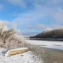 Фотография "Солнечный день декабря"