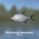 Фотография "https://ok.ru/game/trophyfishing2?228260 Лещ белый амурский, Карповые, 0.702kg, Янцзы, Переправа, TFd-25, Бутерброд.  #Лещ белый амурский #Карповые #Янцзы #Переправа #Бутерброд #trophy #fishing #fish #трофейная #рыбалка #рыба"