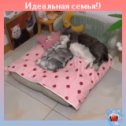 Фотография от Марина Федотова (Шувалова)