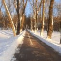 Фотография "Минск, парк, 17 января 2024г"