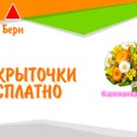 Фотография от Зоя Якуть (Сургиневич)