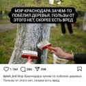 Фотография от Николай Маркитанов