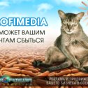 Фотография от Валентин Виконский