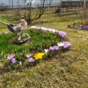 Фотография "Весна!!!"