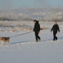 Фотография "Бедная пёса - приходится тащить двоих"