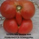 Фотография от Хумар(Коля) Каримов