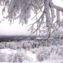 Фотография от Елена Поплавская (Филимонова)