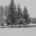 Фотография "Последний день зимы"