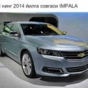 Фотография "Impala..."