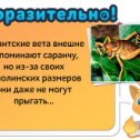 Фотография "Узнаём новые факты обо всём - http://ok.ru/game/1104636160?pla01-4.jpg"