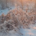 Фотография от Светлана Помелова