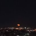 Фотография "Луна в моём окне притворилась гигантской долькой апельсина..."