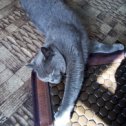 Фотография "Турмалиновый миниковрик любимое оборудование кота Васьки)"