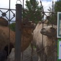 Фотография от Светлана Донских