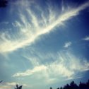 Фотография "Давно таких облаков не наблюдал / I haven't seen such clouds in a long time. / 私は長い間、このような雲を見ていません。 / No he visto una nube como esta en mucho tiempo. / Je n'ai pas vu un nuage comme ça depuis longtemps. ⠀⠀⠀⠀⠀⠀⠀⠀ ⠀⠀⠀⠀⠀⠀⠀⠀ ⠀⠀⠀⠀⠀⠀⠀⠀ ⠀⠀⠀⠀⠀⠀⠀⠀ ⠀⠀⠀⠀⠀⠀⠀⠀ ⠀⠀⠀⠀⠀⠀⠀⠀ ⠀⠀⠀⠀⠀⠀⠀⠀
#zharinov_andrey #clouds #cloud #cloudporn #weather #lookup #sky #skies #skyporn #cloudy #instacloud #instaclouds #instagood #nature #beautiful #gloomy #skyline #horizon #instasky #epicsky #crazyclouds #photooftheday #cloud_skye #skyback #insta_sky_lovers #iskyhub #skypainters"