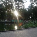 Фотография "Красота на закате солнца озеро Парк Горького"