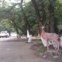 Фотография от Green Park