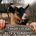 Фотография от Владимир Кузнецов