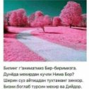 Фотография от анвар икромов