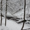 Фотография "Начало речки Чертановки."