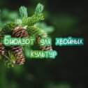 Фотография от Эко Дачник