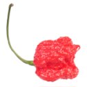 Фотография от Carolina Reaper