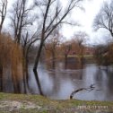 Фотография от Любовь Фёдорова (Астрейко)