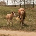 Фотография от Агроусадьба Несвижские вытоки