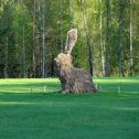 Фотография "Стог сена, скирдованный в форме зайца. По дороге из Тригорского в Михайловское. Почему заяц?"