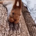 Фотография от Андрей Полухин