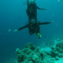 Фотография "Red sea. Gordon reef."