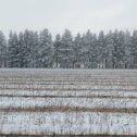 Фотография от Василий Васильевич