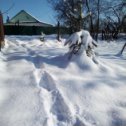 Фотография "Зимой чистила двор от снега, мечтала о лете. Вот оно на исходе, а мне так хочется чистить дорожки!"